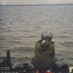 Foto del perfil de Luis Gamboa Flores