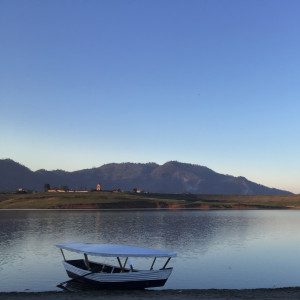 Foto del perfil de Parra
